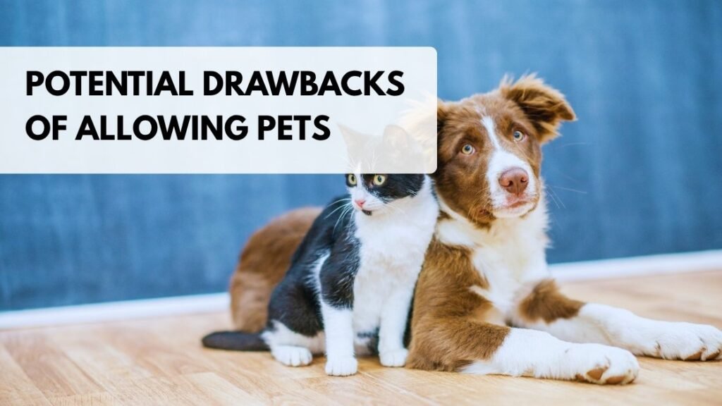 Potential Drawbacks of Allowing Pets
