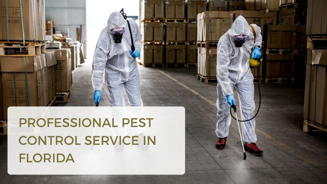 Professional pest control 