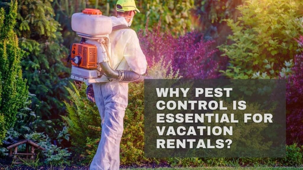 why pest control is essential for vacation rental  