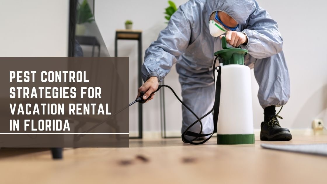Pest Control Strategies for Vacation rental in Florida